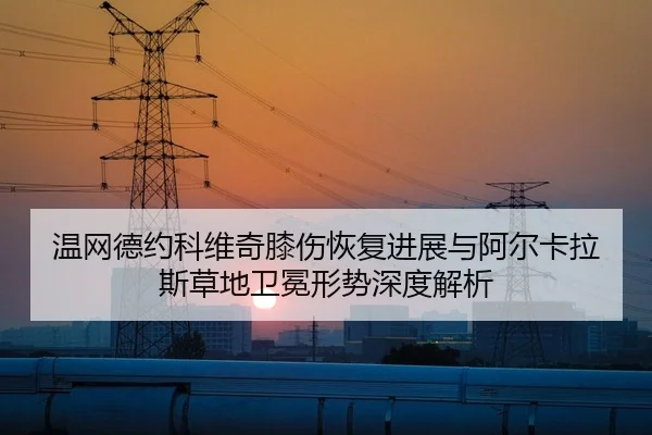 温网德约科维奇膝伤恢复进展与阿尔卡拉斯草地卫冕形势深度解析